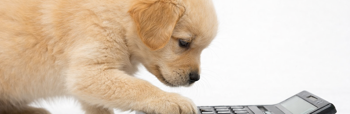 料金・お見積り