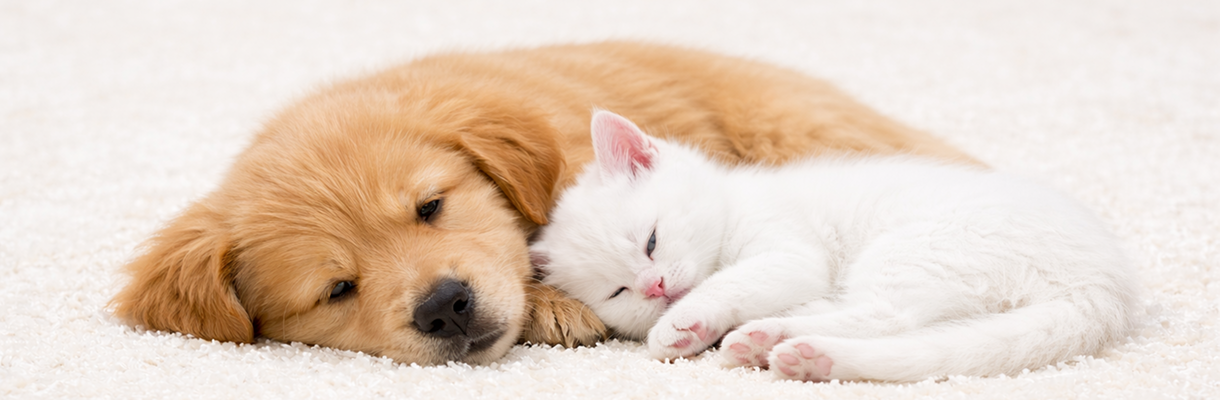 個人情報保護方針